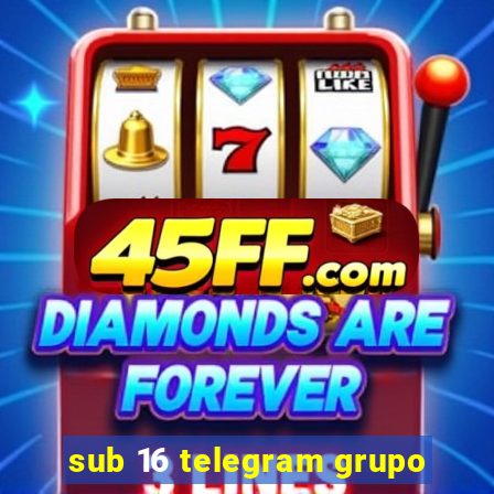 sub 16 telegram grupo